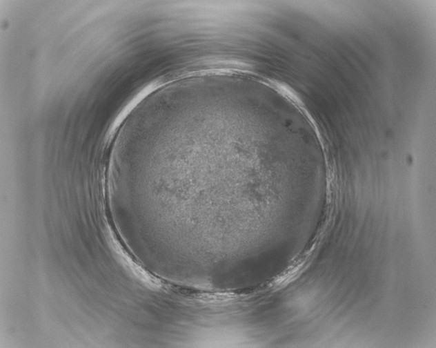 X0000056330859200509092326