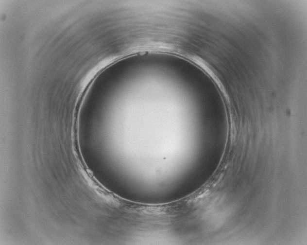 X0000056330861200509092326