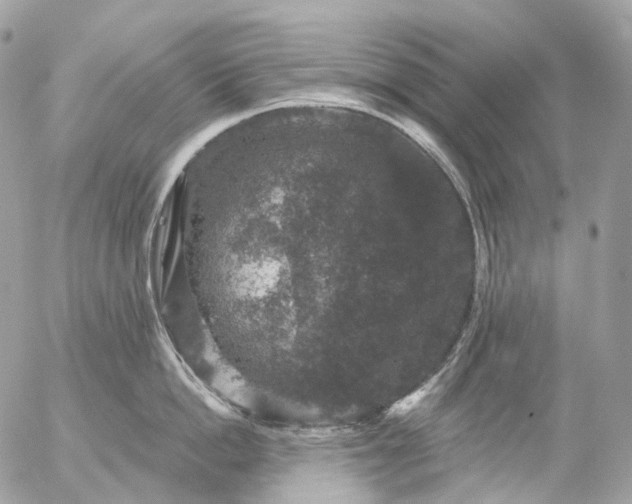 X0000056330862200509092326