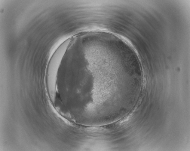 X0000056330863200509092327