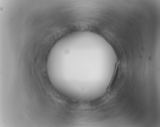 X0000056330865200509092326