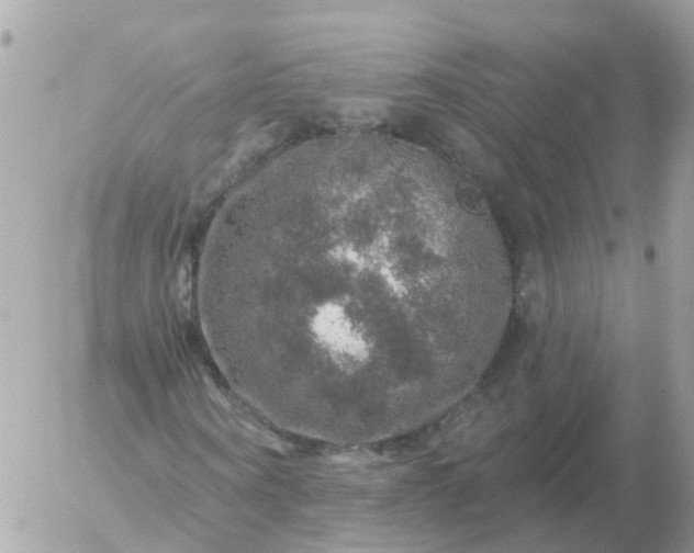 X0000056330866200509092326