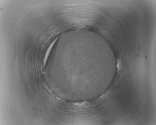 X0000056330867200509092326