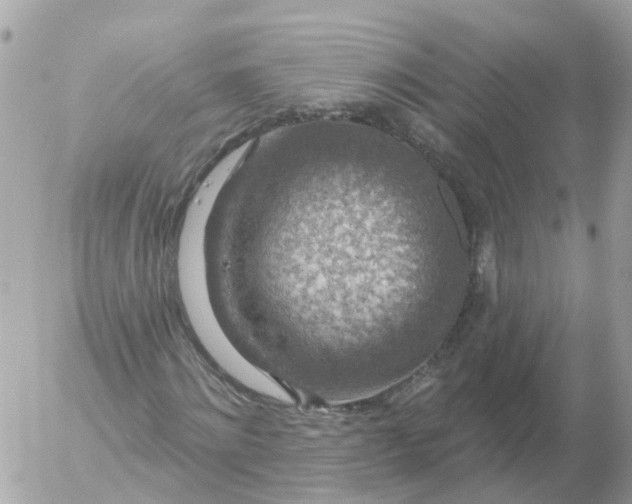 X0000056330868200509092326