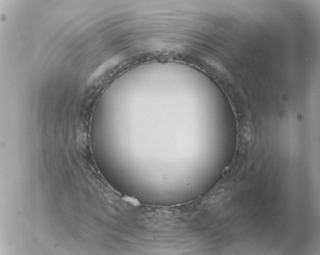 X0000056330869200509092326