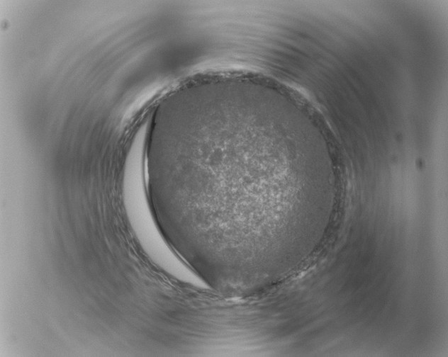 X0000056330871200509092326