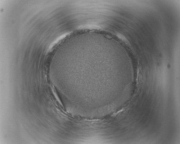 X0000056330872200509092326