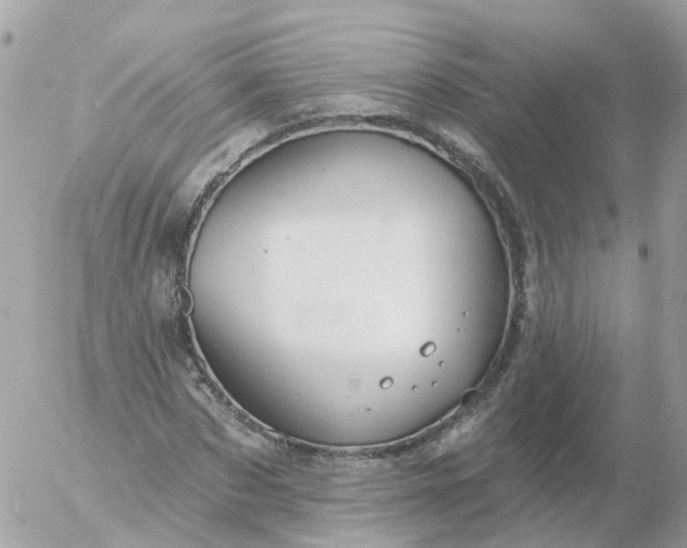 X0000056330873200509092326