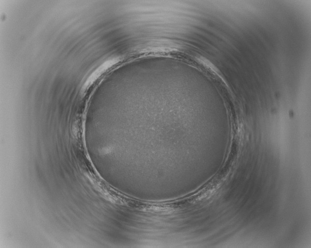 X0000056330874200509092326