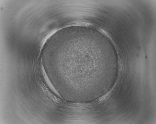 X0000056330875200509092326