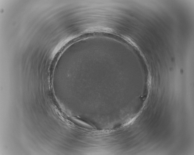 X0000056330877200509092326