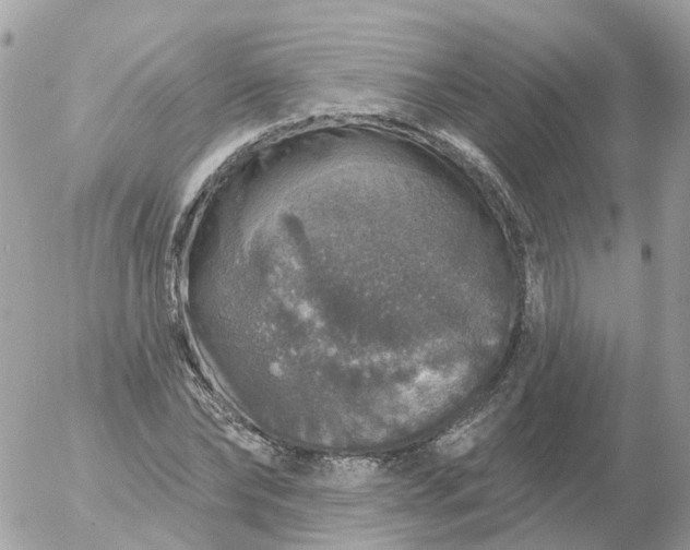 X0000056330878200509092326