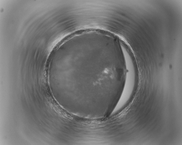 X0000056330879200509092326