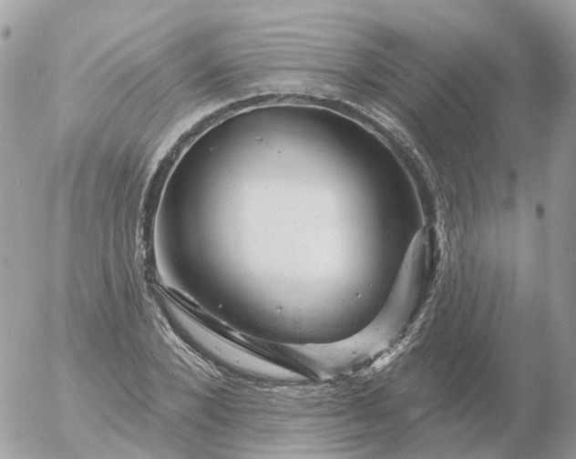 X0000056330880200509092325