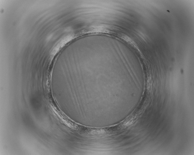 X0000056330882200509092325