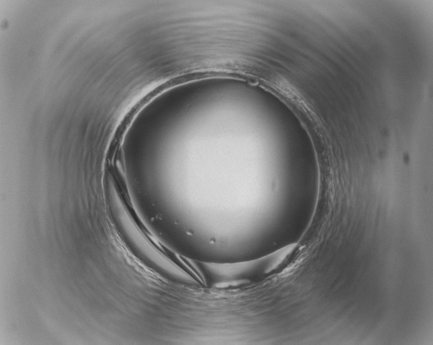 X0000056330884200509092325