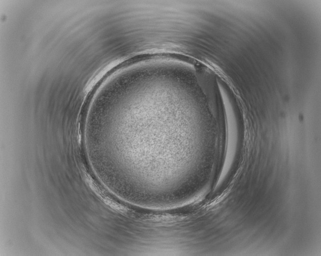 X0000056330885200509092325