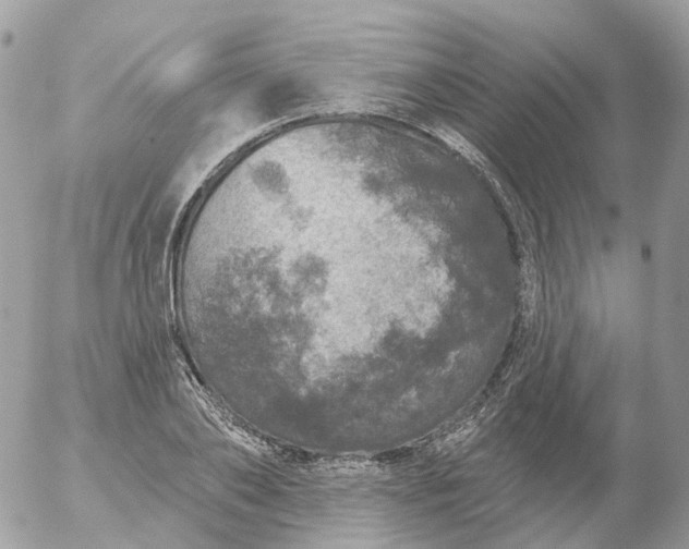 X0000056330886200509092325