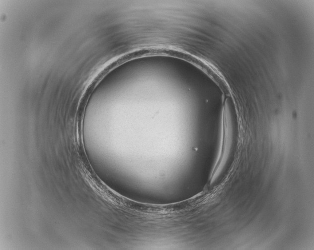 X0000056330887200509092325