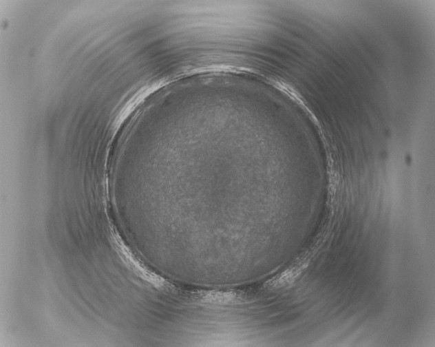 X0000056330890200509092325