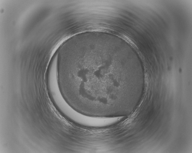 X0000056330891200509092325