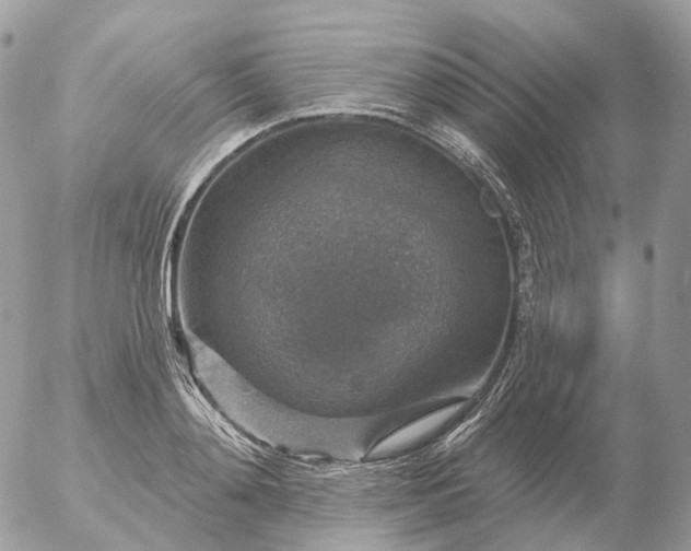 X0000056330892200509092325