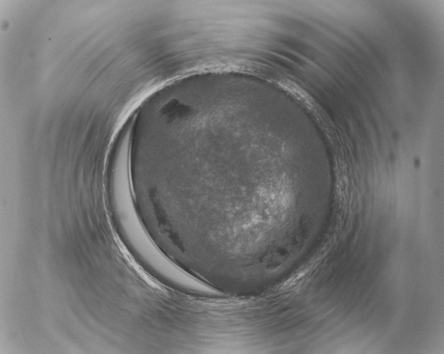 X0000056330894200509092325