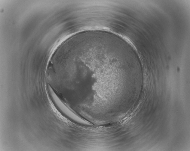 X0000056330895200509092325