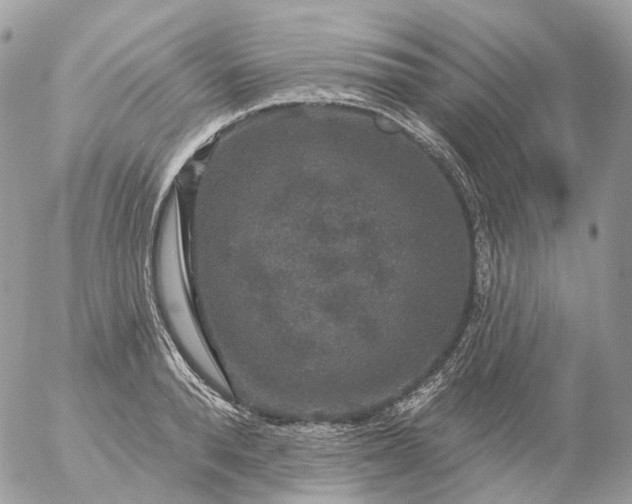 X0000056330896200509092325