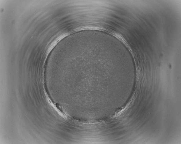 X0000056330898200509092325