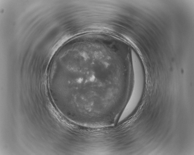 X0000056330899200509092325