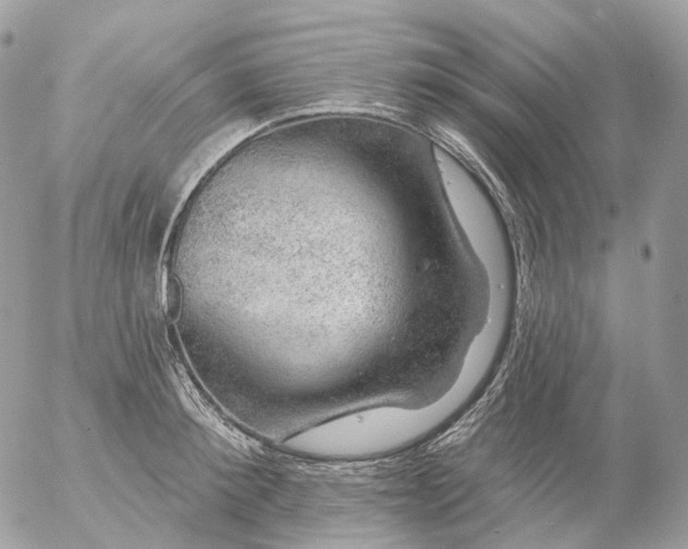 X0000056330900200509092325