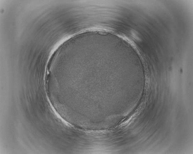 X0000056330902200509092325