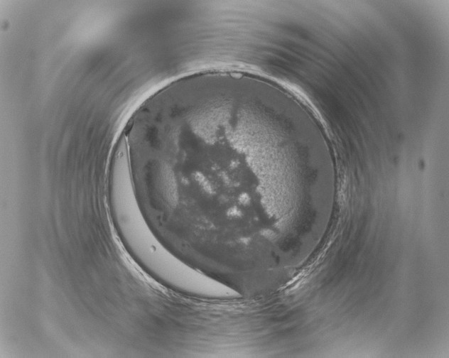 X0000056330903200509092325