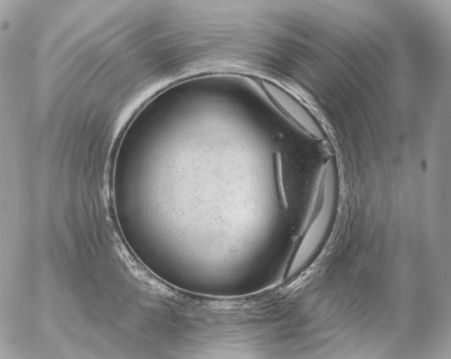 X0000056330904200509092325