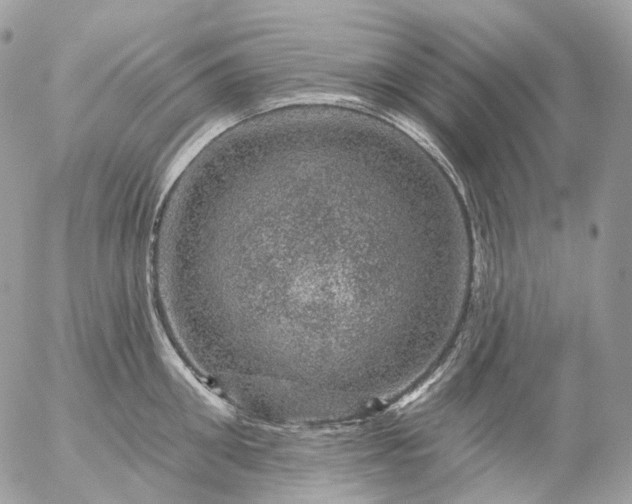 X0000056330906200509092325