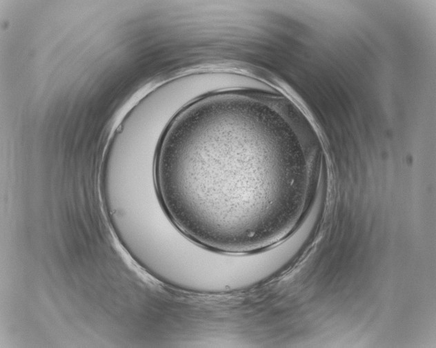 X0000056330909200509092325