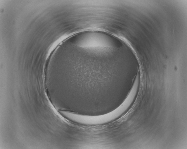 X0000056330910200509092325