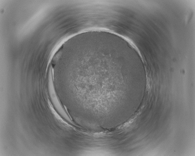 X0000056330911200509092325