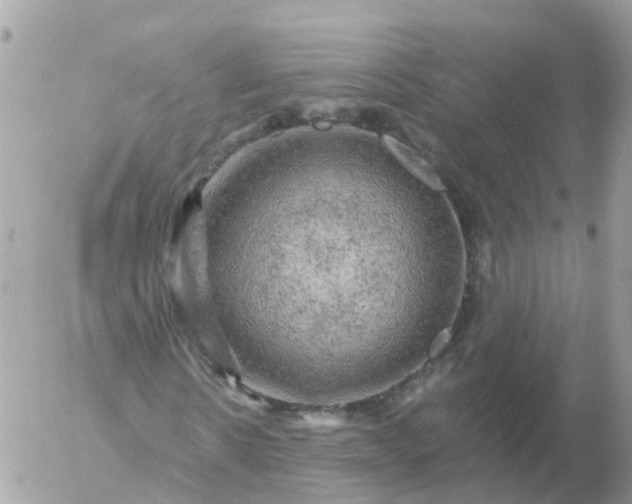 X0000056330914200509092324