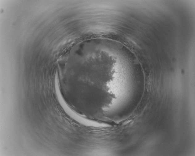 X0000056330917200509092324