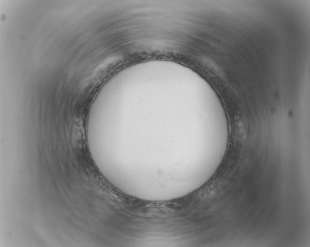 X0000056330918200509092324