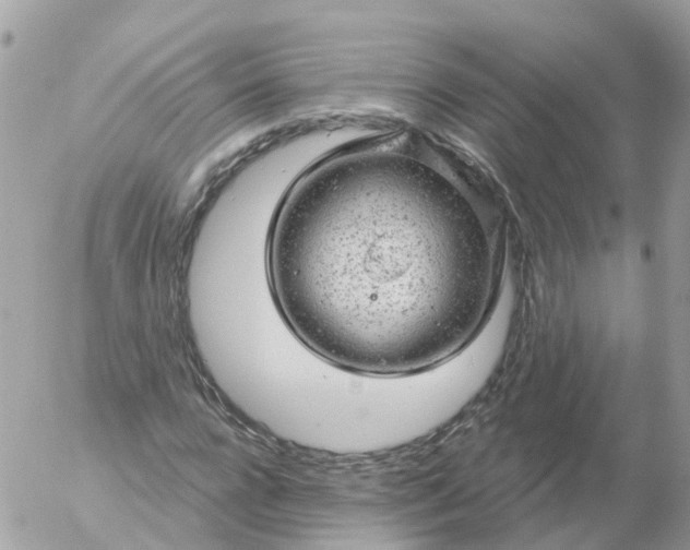 X0000056330920200509092324