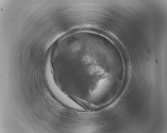 X0000056330921200509092324