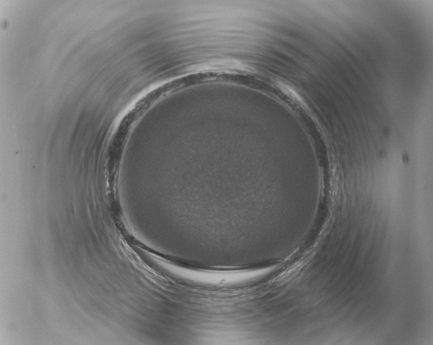 X0000056330923200509092324