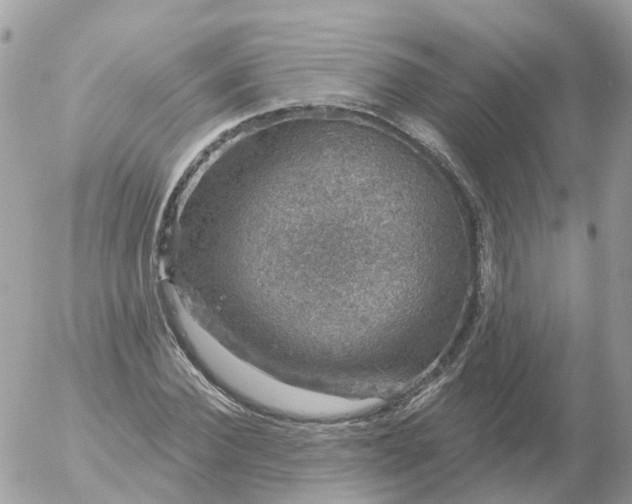 X0000056330924200509092324