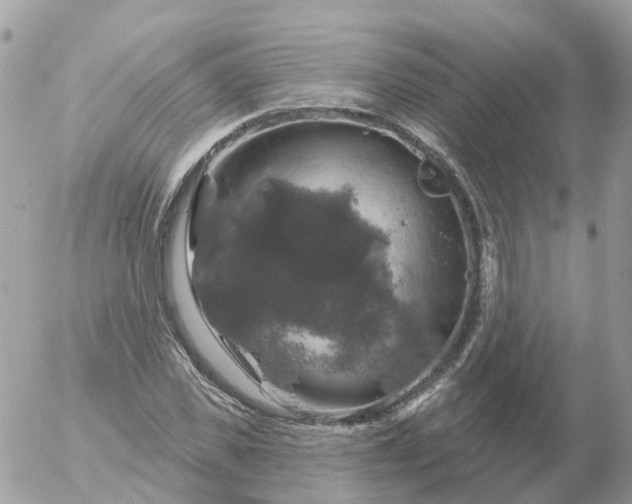 X0000056330925200509092324