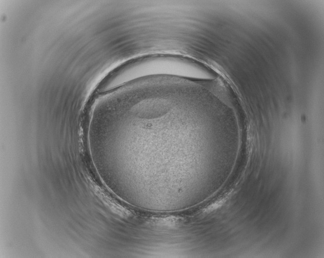 X0000056330926200509092324