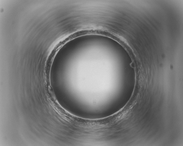 X0000056330927200509092324