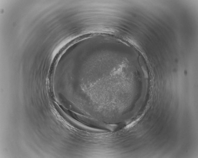 X0000056330928200509092324